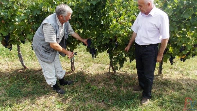 преузето са prokuplje.org.rs.(79)