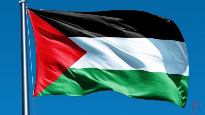 Palestina17